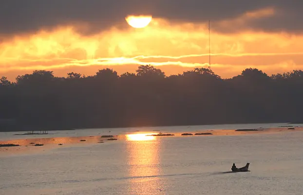 সোনালি আভা
