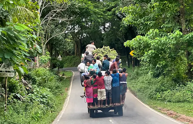 পথের ধারে হলুদ ফুলের সৌন্দর্য।