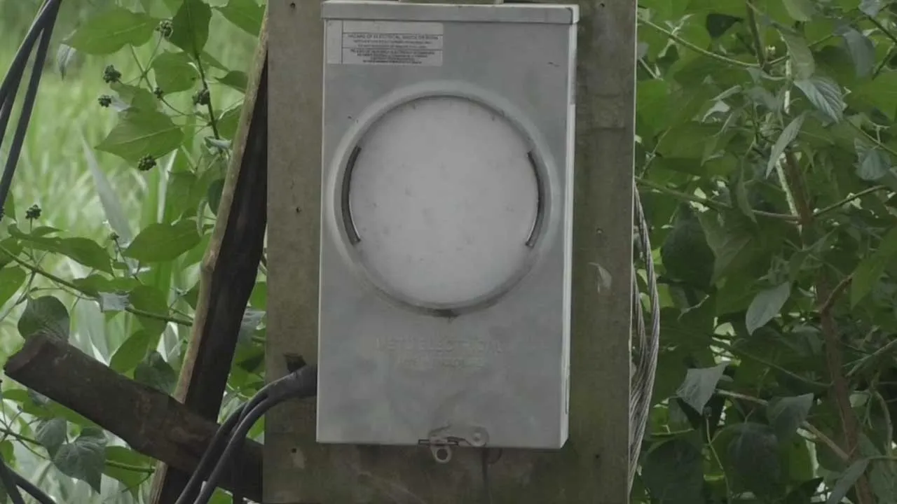 ছবি সংগৃহীত