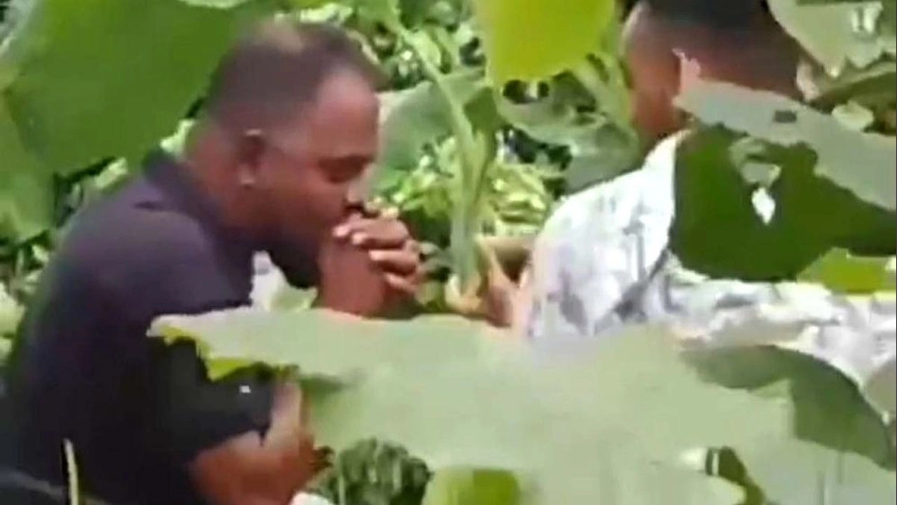 গাঁজা সেবনের ভিডিও ভাইরাল হওয়ায় ছাত্রদল নেতা এনামুল হক