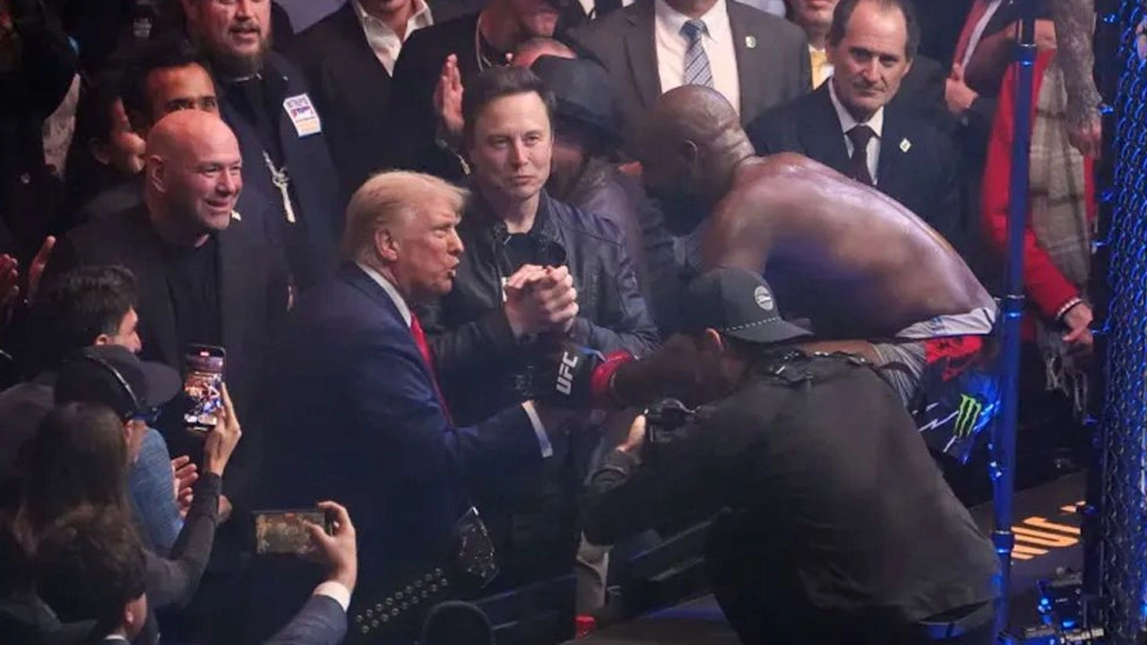 ট্রাম্পের জন্মদিনে হোয়াইট হাউসে হবে ইউএফসি লড়াই