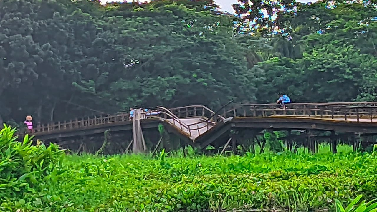 ছবি সংগৃহীত