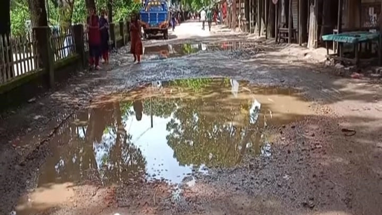 ছবি সংগৃহীত