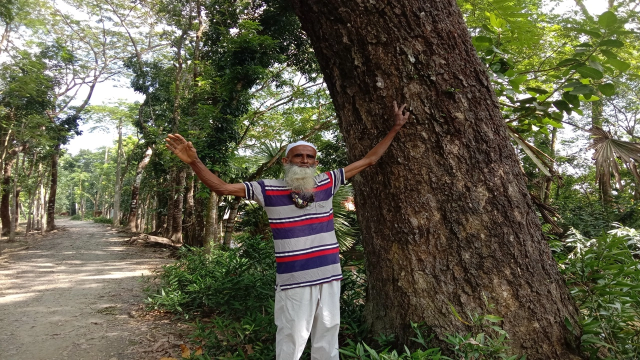 ফাইল ছবি