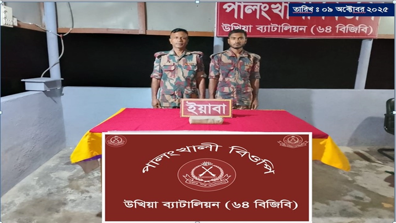 ছবি সংগৃহীত