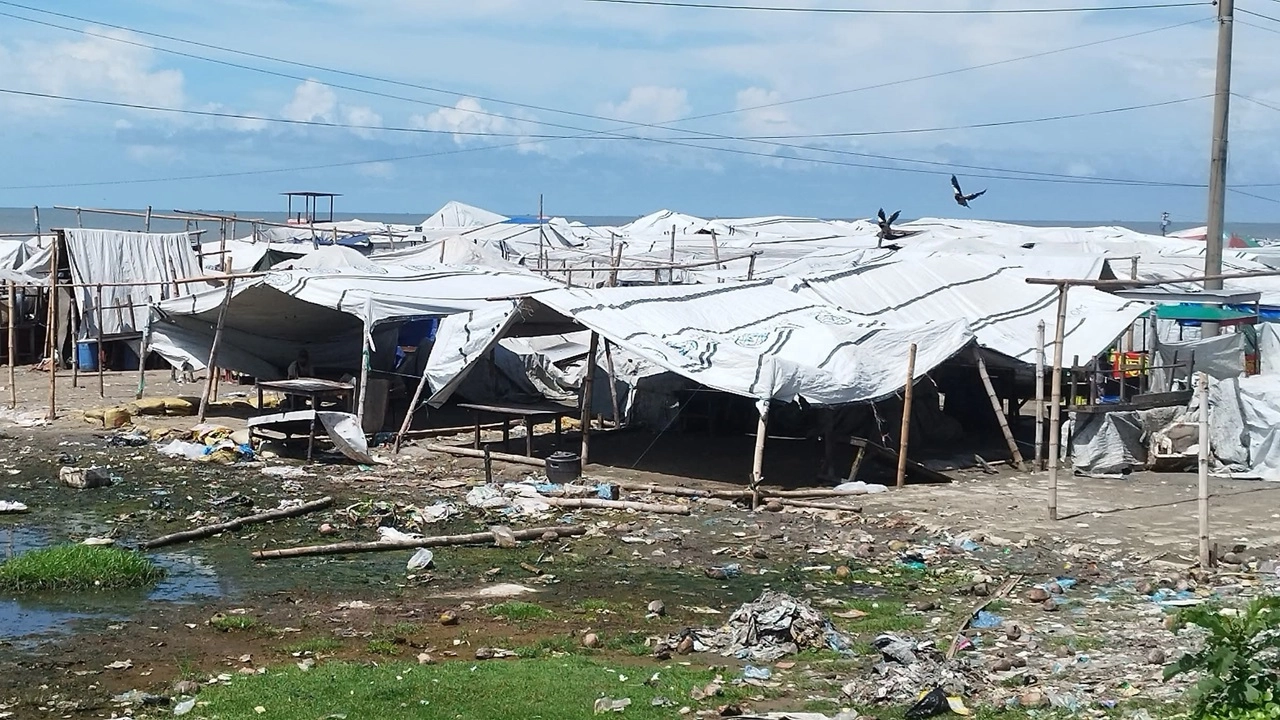 ছবি সংগৃহীত