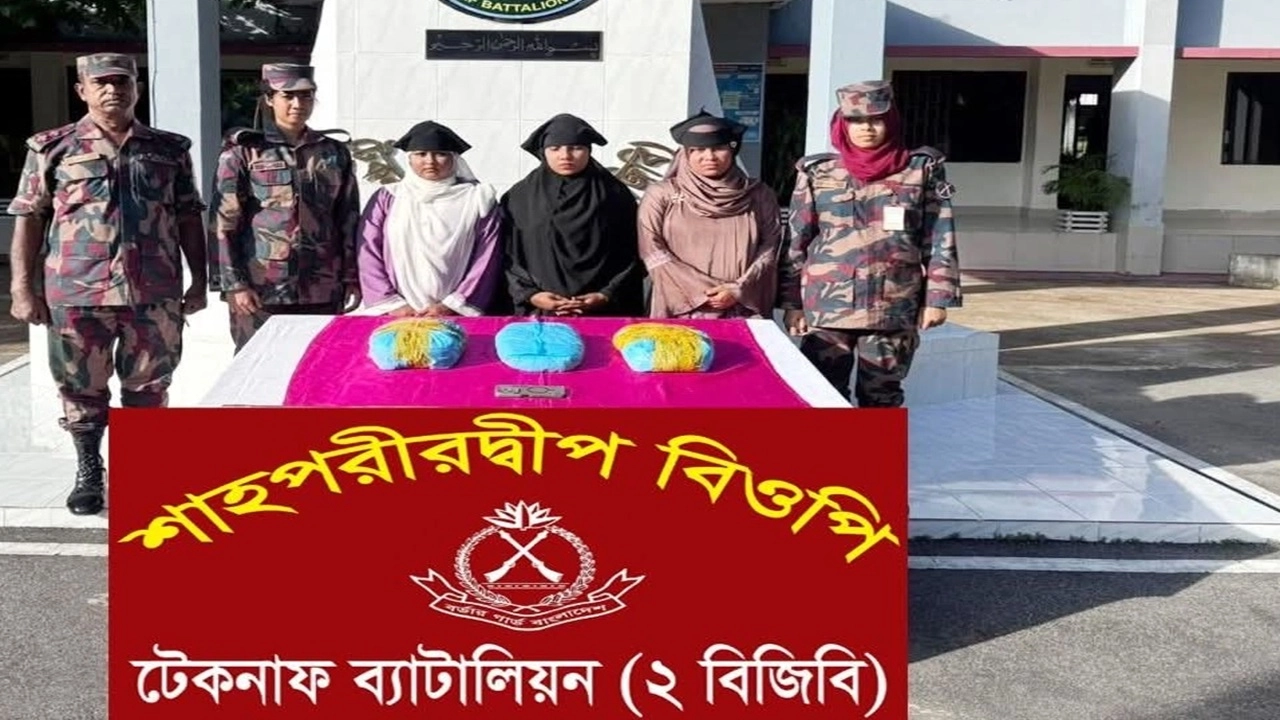 ছবি সংগৃহীত