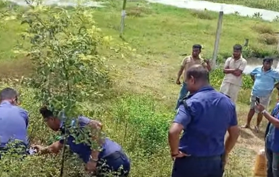 ছবি সংগৃহীত