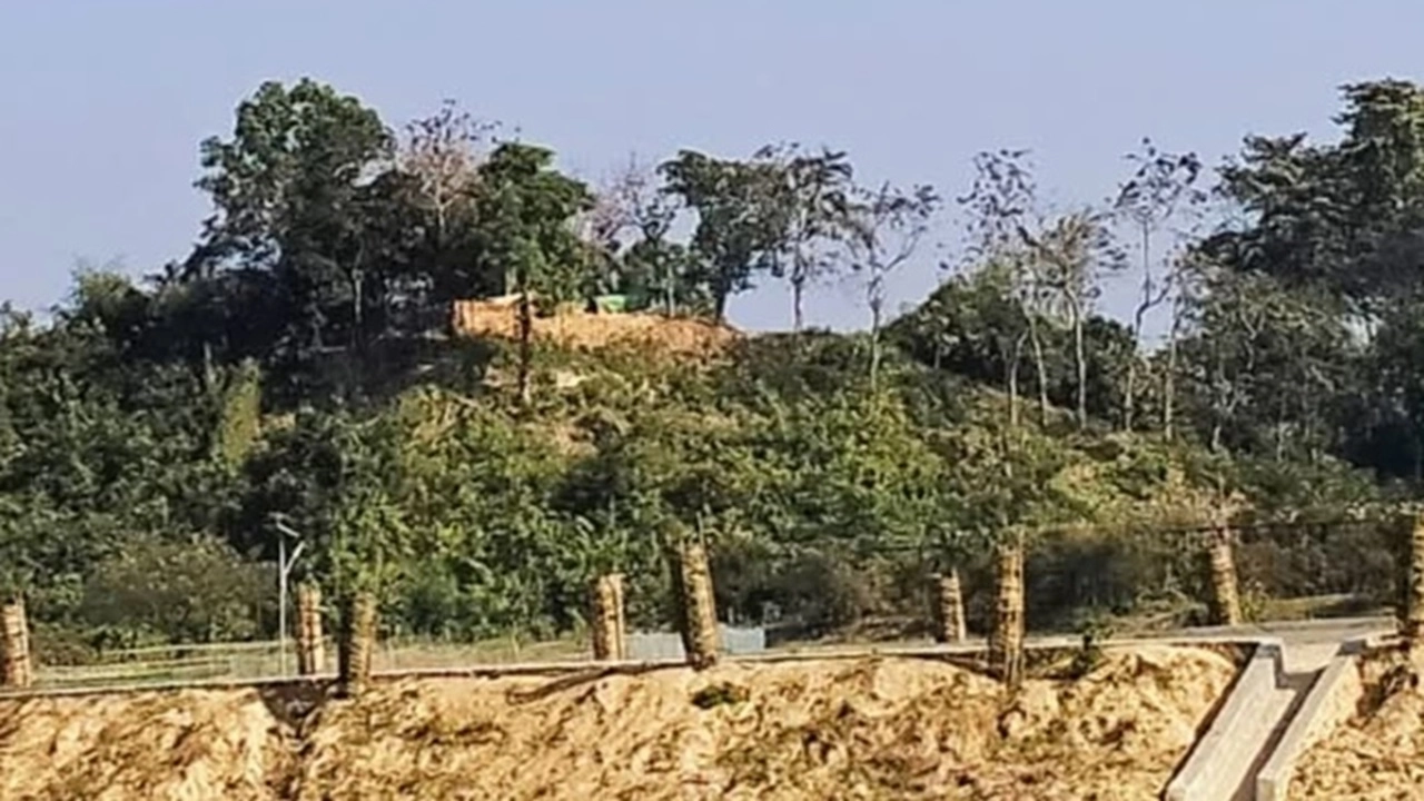 ছবি সংগৃহীত