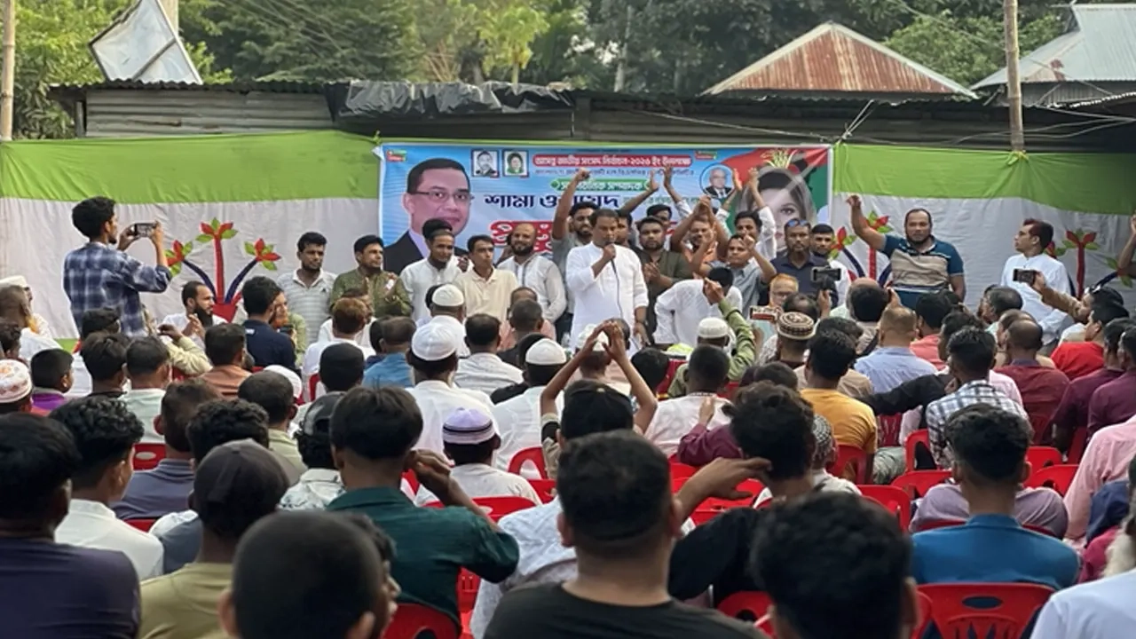 ছবি সংগৃহীত