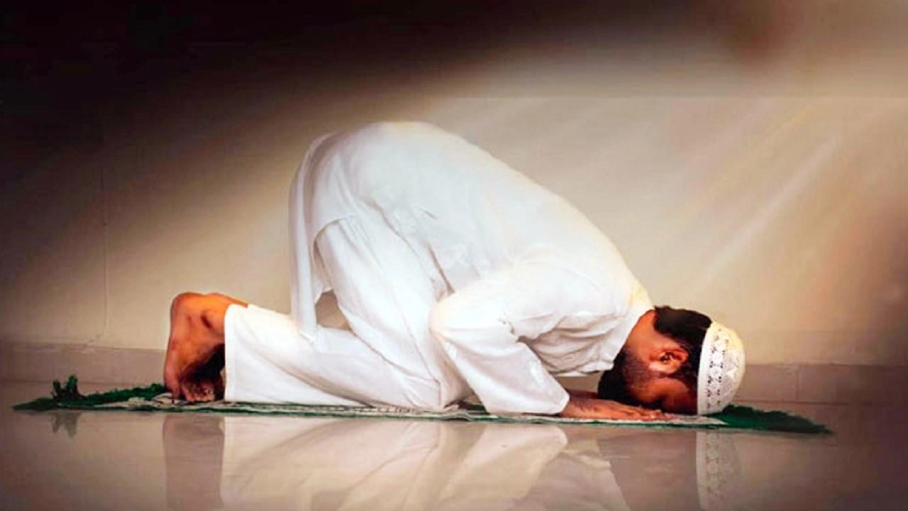 ফাইল ছবি