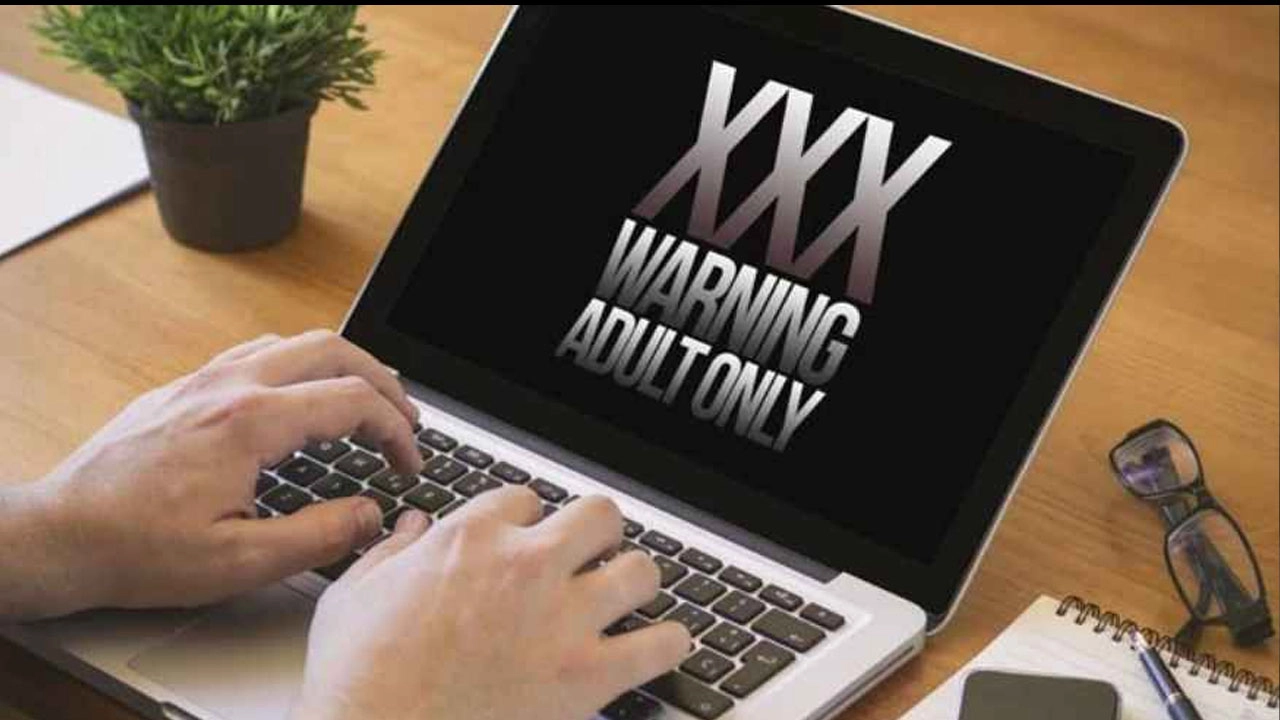 পর্নগ্রাফি চক্র শনাক্তে তদন্তের নির্দেশ দিল আদালত