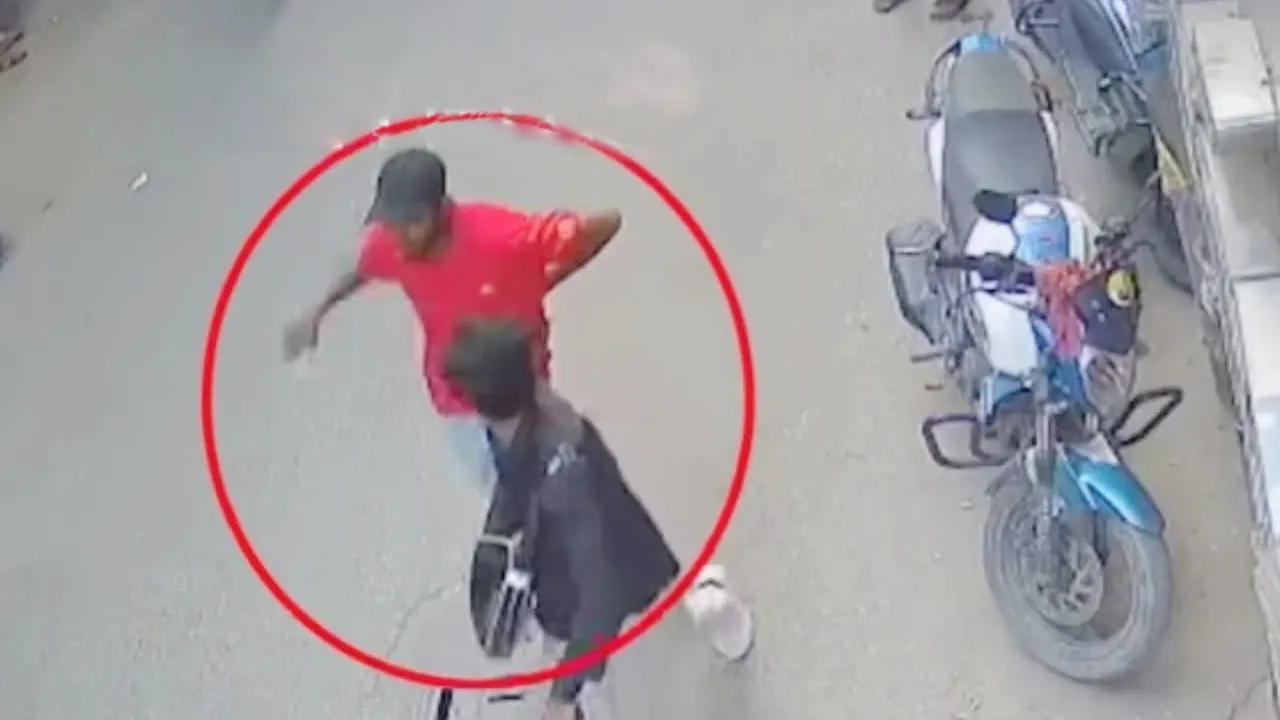 ছবি সংগৃহীত