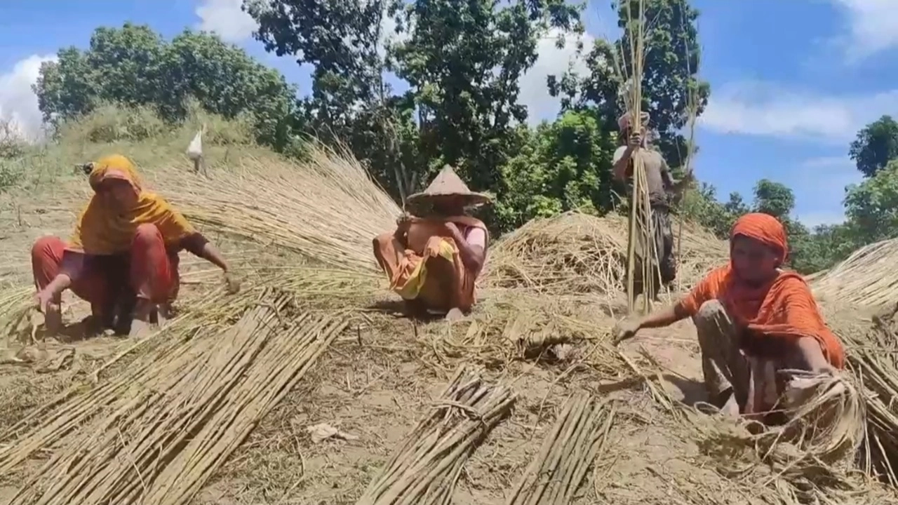 মাঠে কাজ করছেন কৃষক-কৃষাণীরা