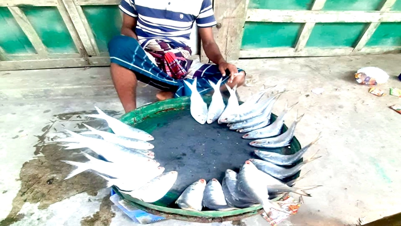 স্থানীয় বাজার থেকে ছবিটি তোলা-এনপিবি