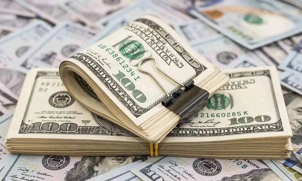 ২০ দিনে ১৭৮ কোটি ডলার রেমিট্যান্স পাঠালেন প্রবাসীরা