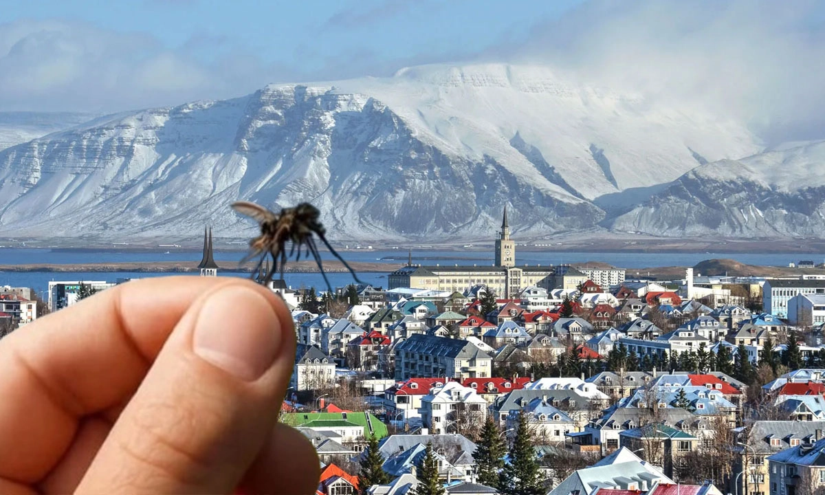 বিশ্বের একমাত্র মশামুক্ত দেশ