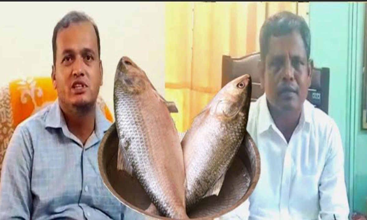 পাবনায় জব্দকৃত ইলিশের ২৫ কেজির ২০ কেজি উধাও!