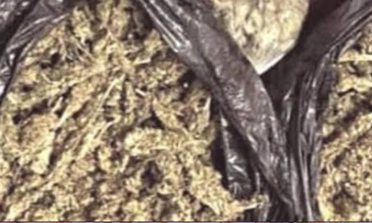 টেকনাফে পুলিশের অভিযানে গাঁজা উদ্ধার