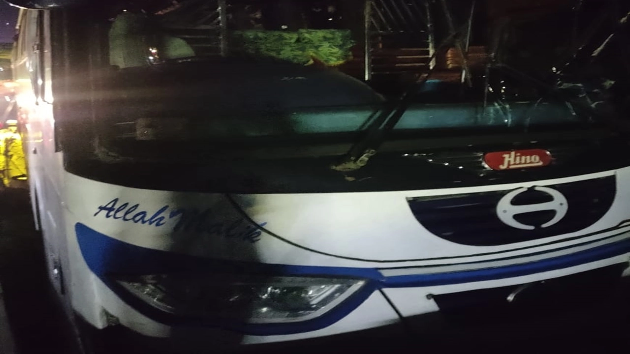 ছবি সংগৃহীত