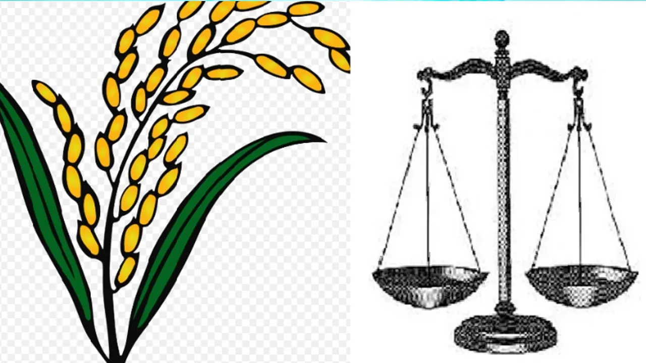 বিএনপির নির্বাচনি প্রতীক ধানের শীষ ও জামায়াতের নির্বাচনী প্রতিক দাঁড়ি পাল্লা