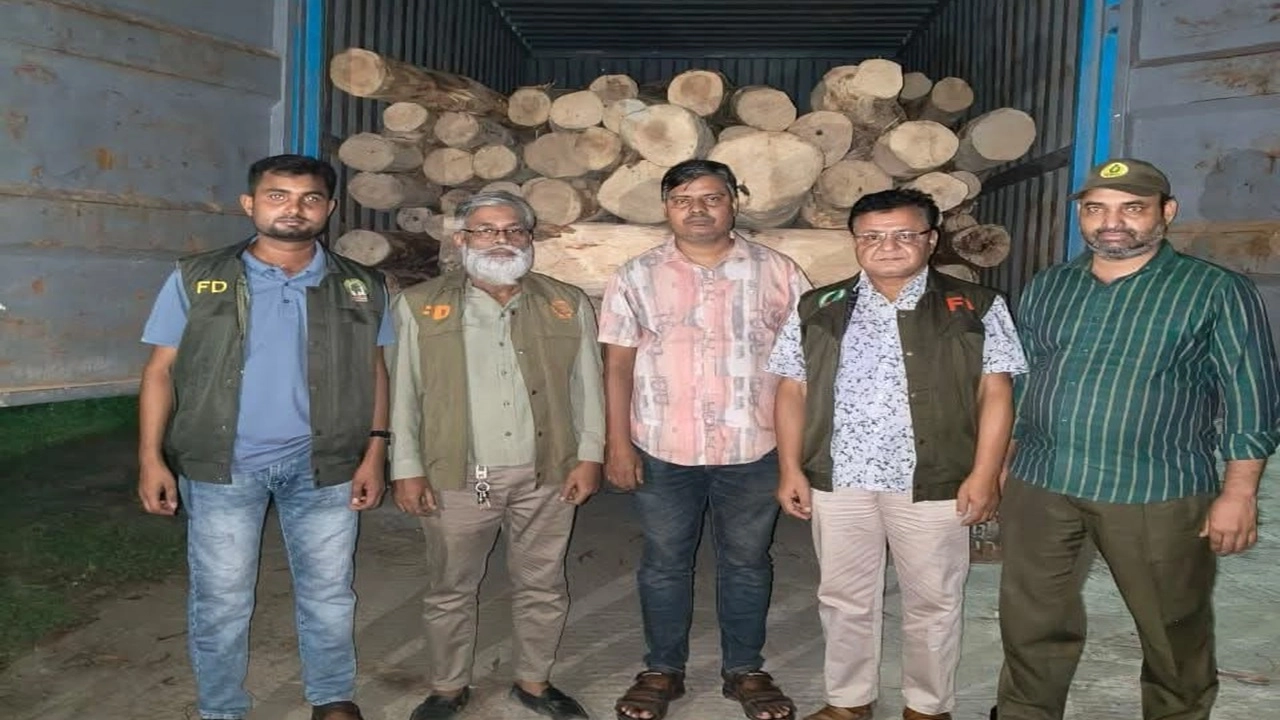 ছবি সংগৃহীত