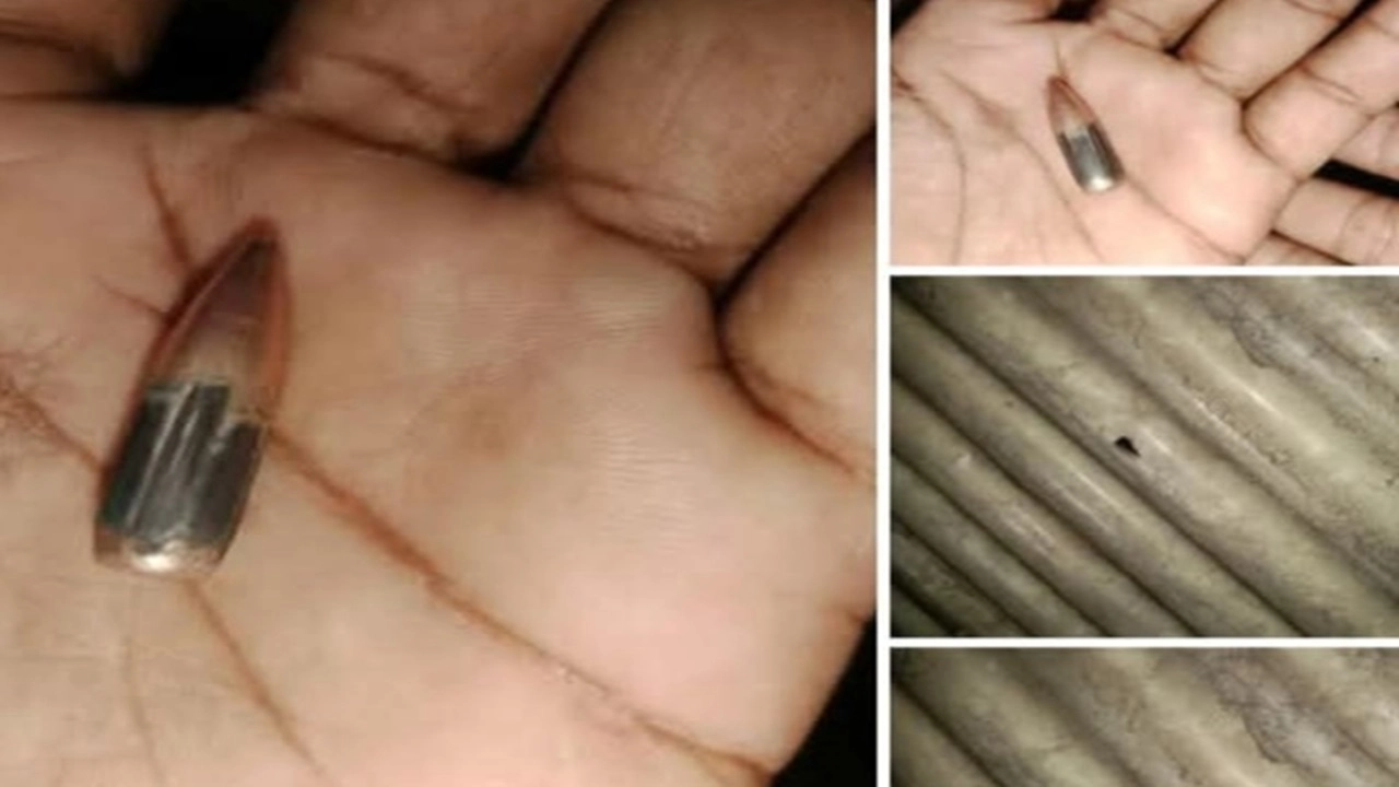 ছবি সংগৃহীত