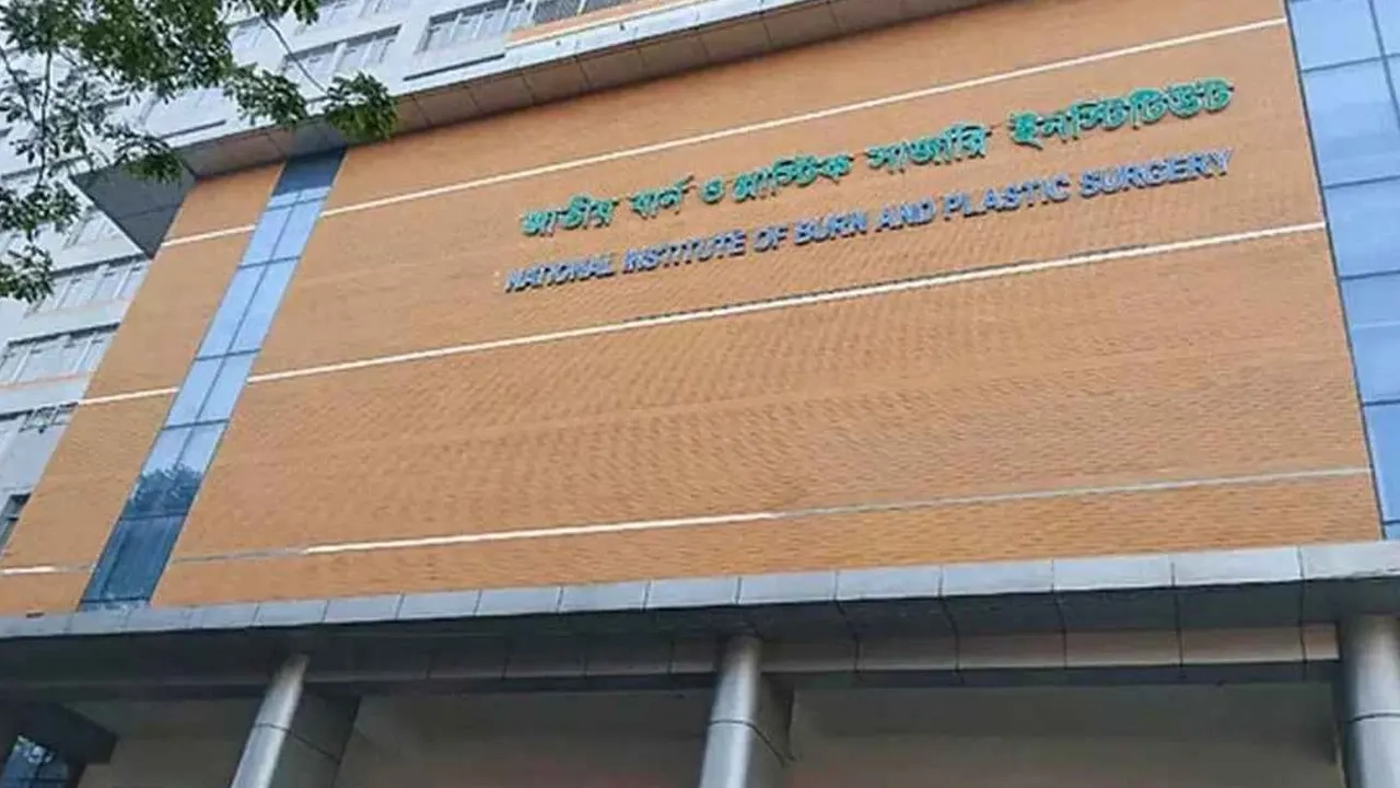 ফাইল ছবি