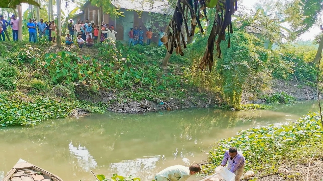 ছবি সংগৃহীত