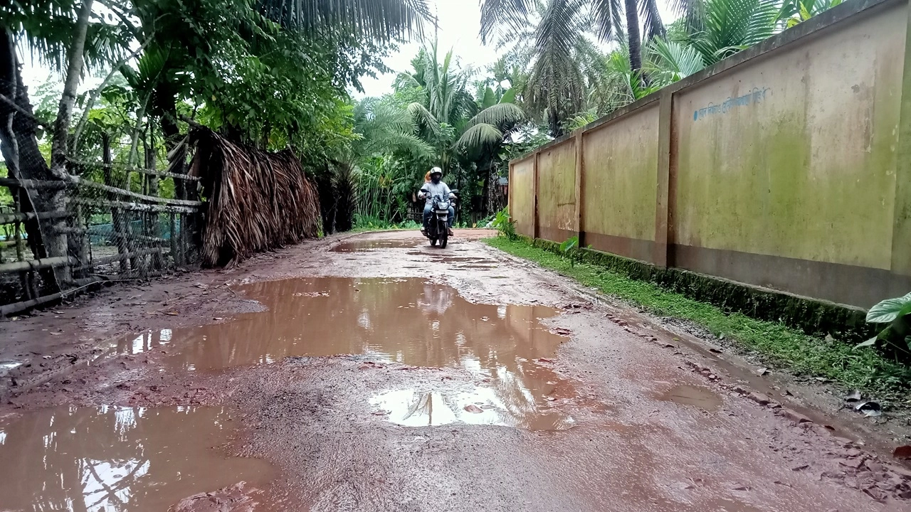 ছবি সংগৃহীত