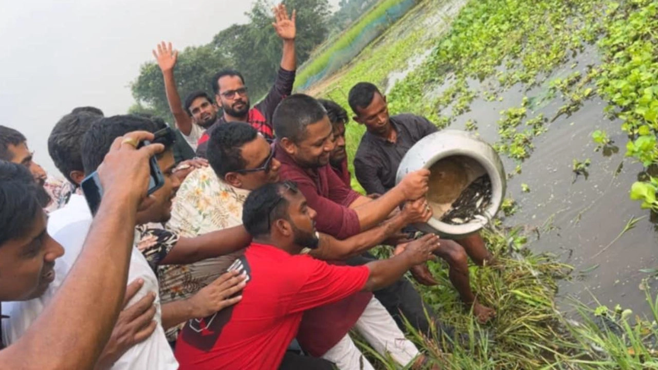 ধামরাই যুবদলের বৃক্ষরোপণ ও মাছের পোনা অবমুক্তকরণ কর্মসূচি পালন