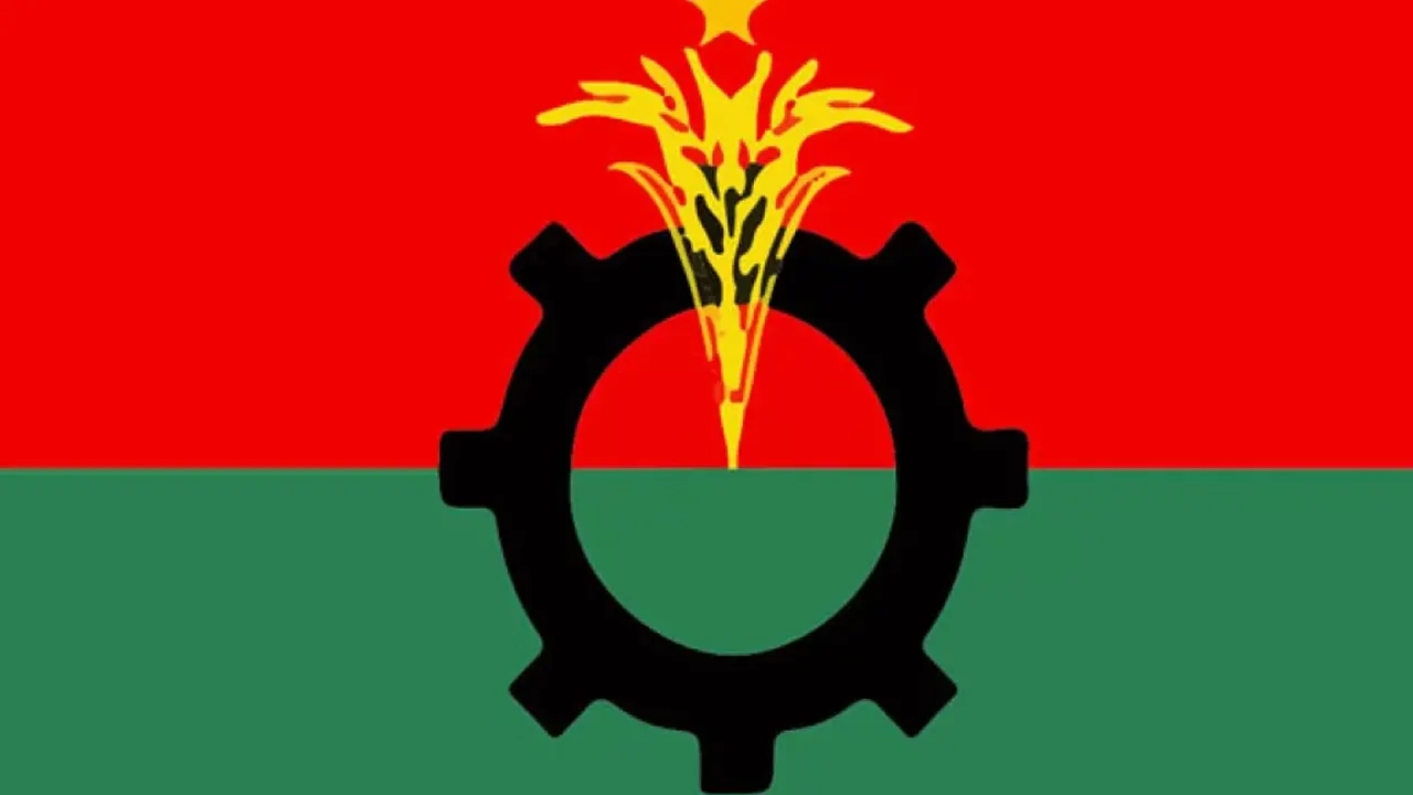 বিএনপি লোগো