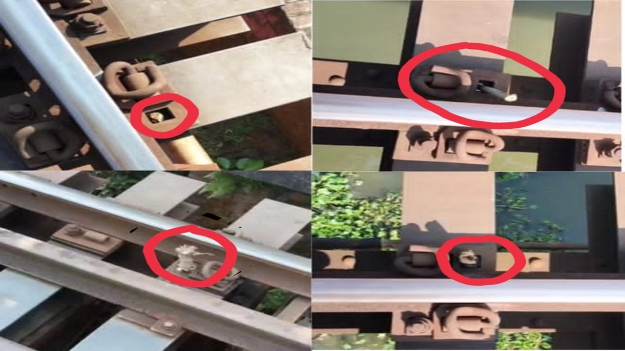 ছবি: এনপিবি নিউজ