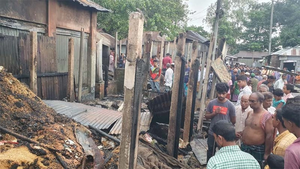 ছবি: এনপিবি নিউজ