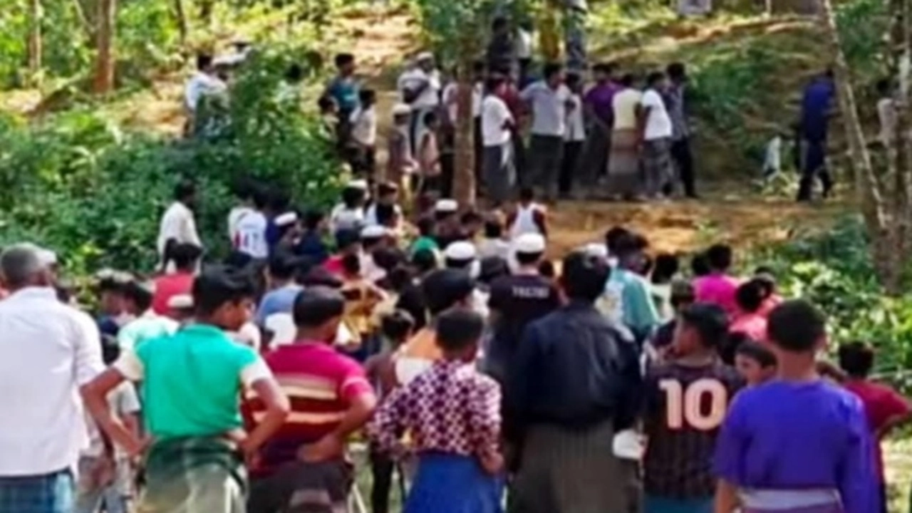 ছবি: এনপিবি নিউজ