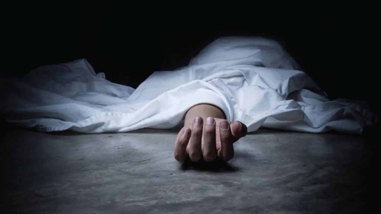 ফাইল ছবি