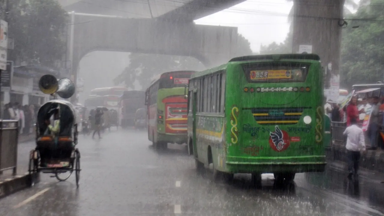 ছবি: এনপিবি নিউজ