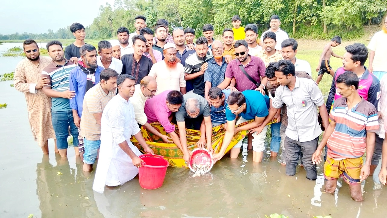 ছবি: এনপিবি নিউজ