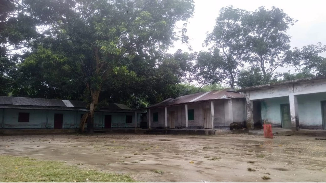 ফাইল ছবি