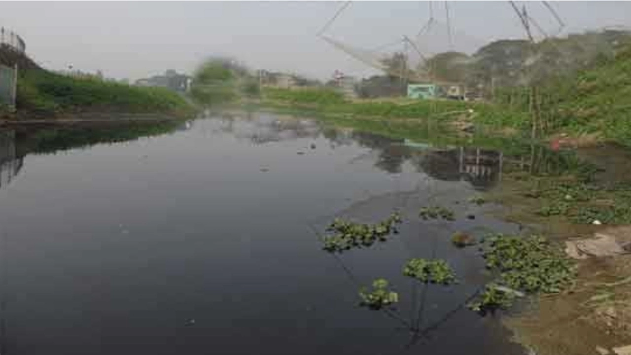 ছবি: এনপিবি নিউজ