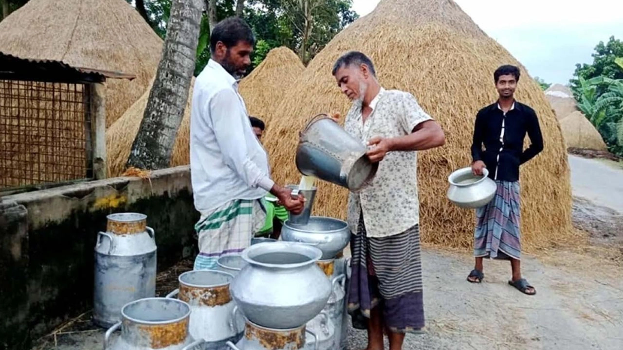দুধের মূল্য না বাড়ায় উল্লাপাড়ায় ৬ শতাধিক খামারির দুধ সরবরাহ বন্ধ