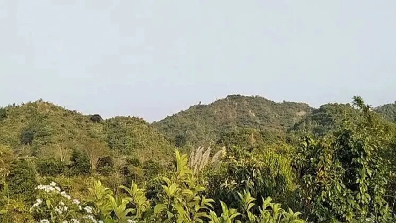 উখিয়া উপজেলার কুতুপালং পিএফ পাহাড় এলাকা