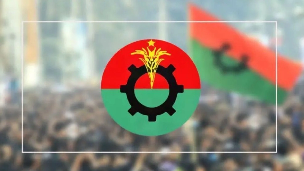 বিএনপি লোগো