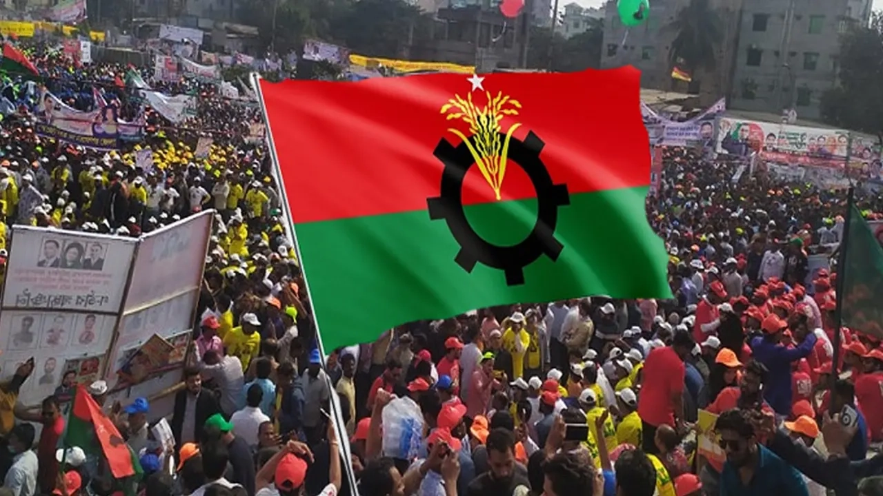 বিএনপি পতাকা