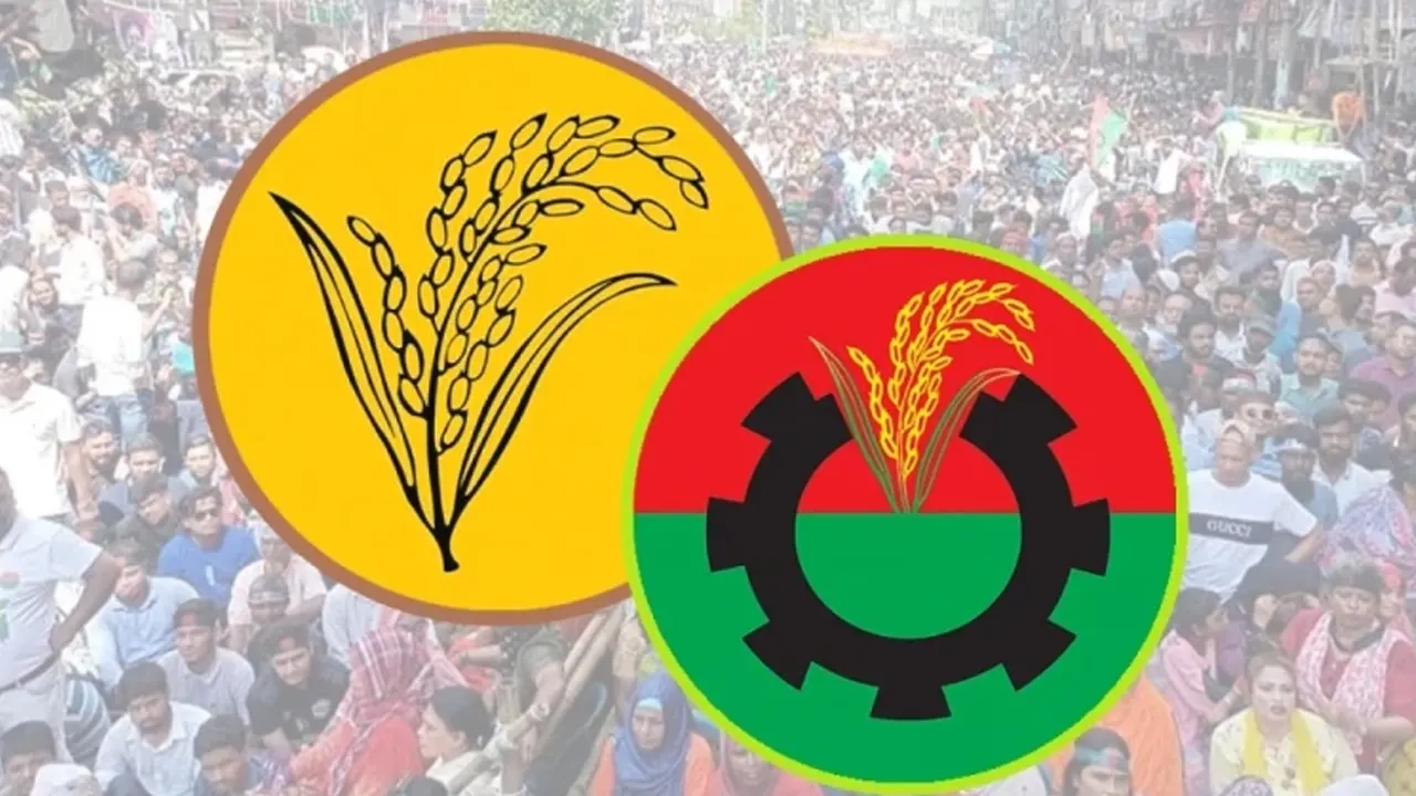 ধানের শীষ ও বিএনপির লোগো