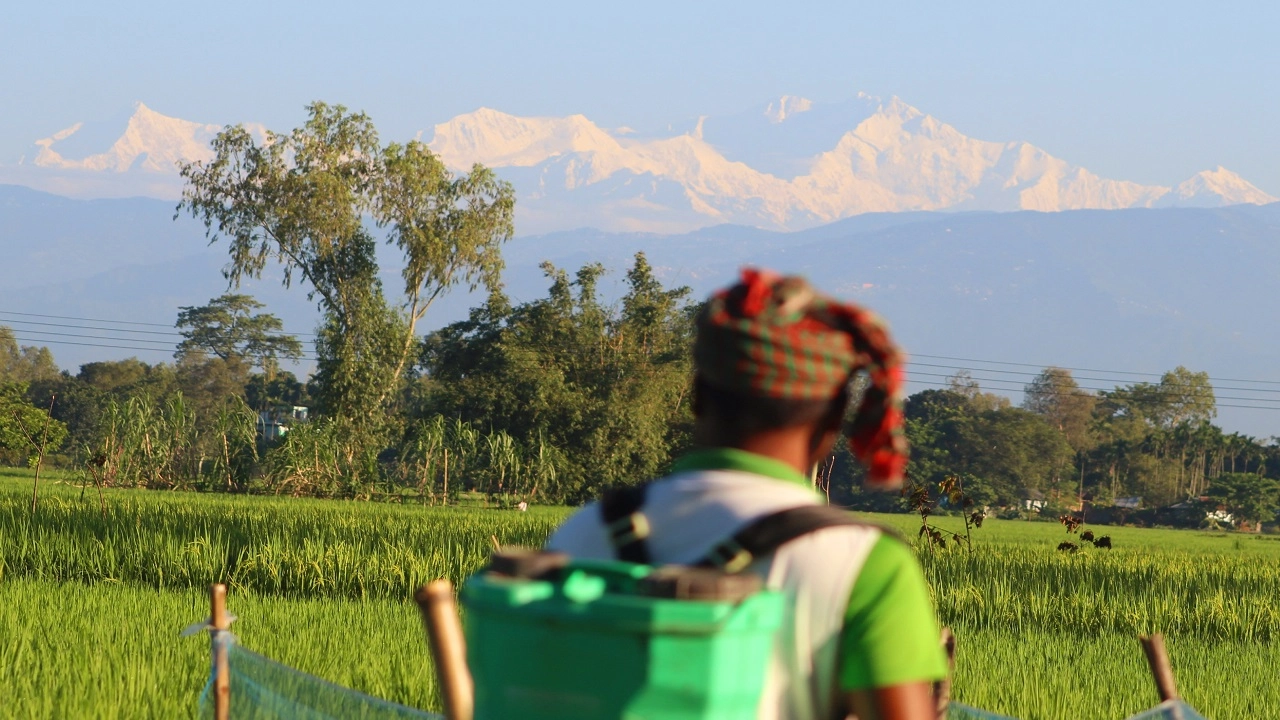 শীতের আগমনী বার্তা নিয়ে উত্তর আকাশে আবারও দেখা মিলেছে মহিমান্বিত কাঞ্চনজঙ্ঘার।