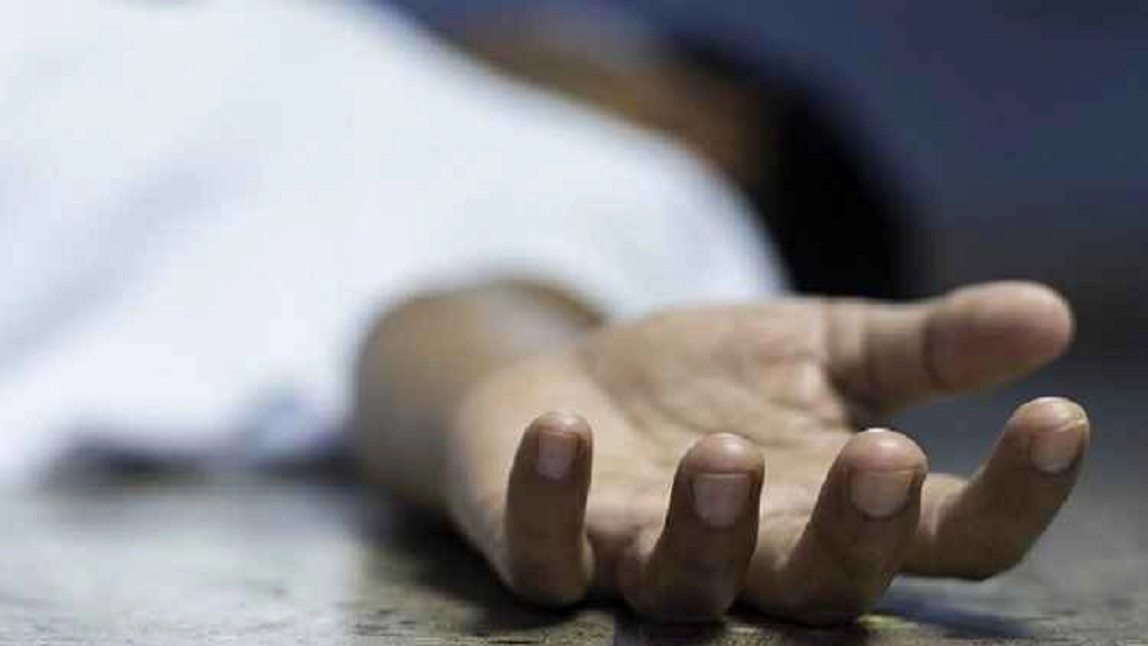 ফাইল ছবি