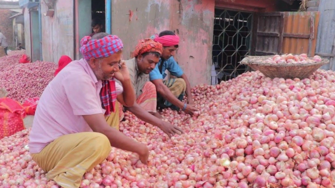 পাবনাতেও বেড়েছে পেঁয়াজের দাম