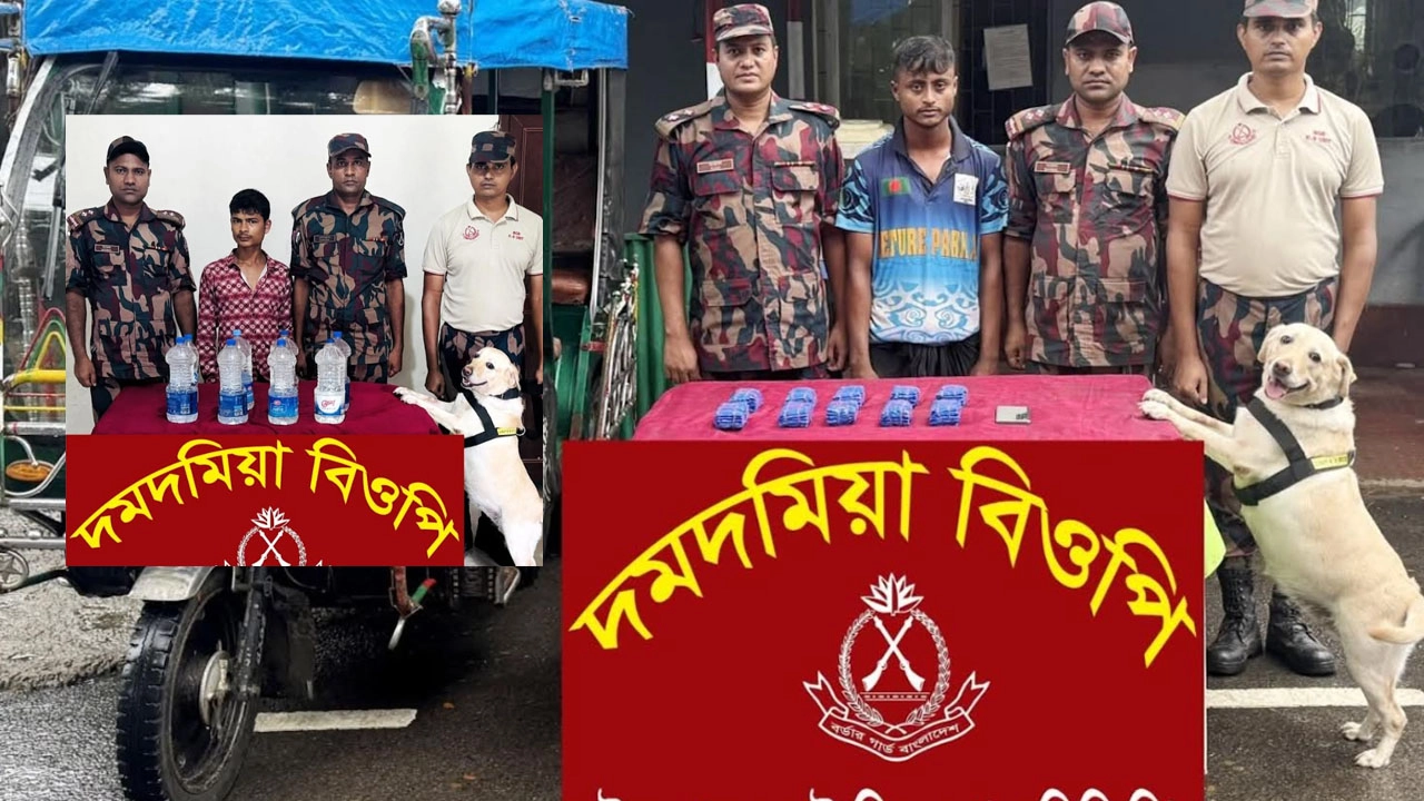 টেকনাফে ইয়াবা ও দেশীয় মদসহ আটক ২