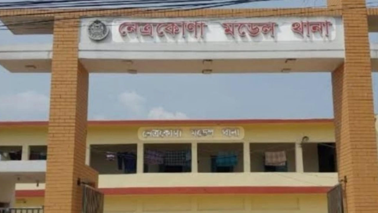 নেত্রকোণায় সড়ক দুর্ঘটনায়